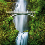 Multnomah Falls 